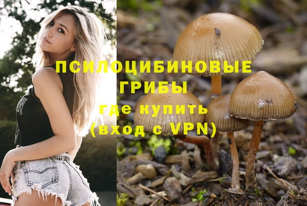 трава Осинники
