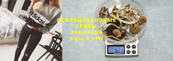 трава Осинники