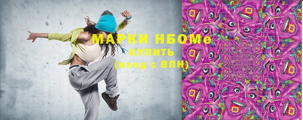 индика Осташков