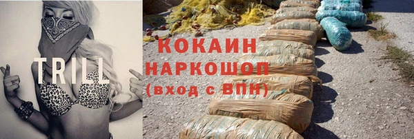 трава Осинники