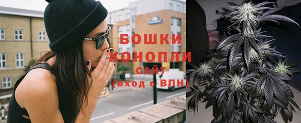 мет Няндома