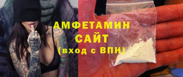индика Осташков