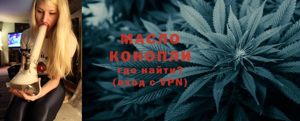 индика Осташков