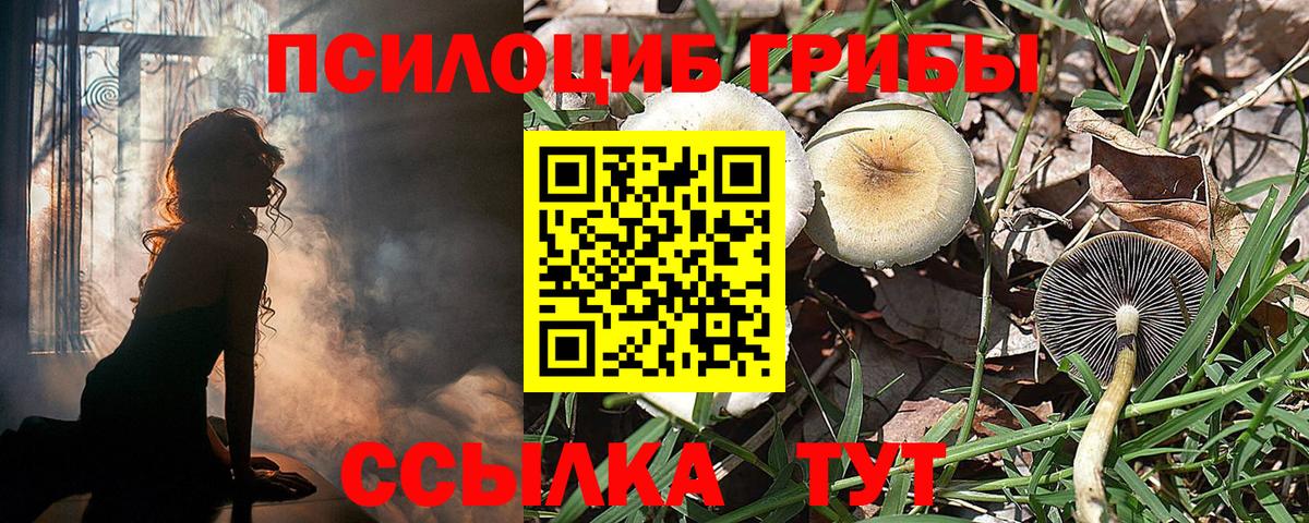даркнет сайт  Вход с VPN  Кирово-Чепецк  Галлюциногенные грибы ЛСД 