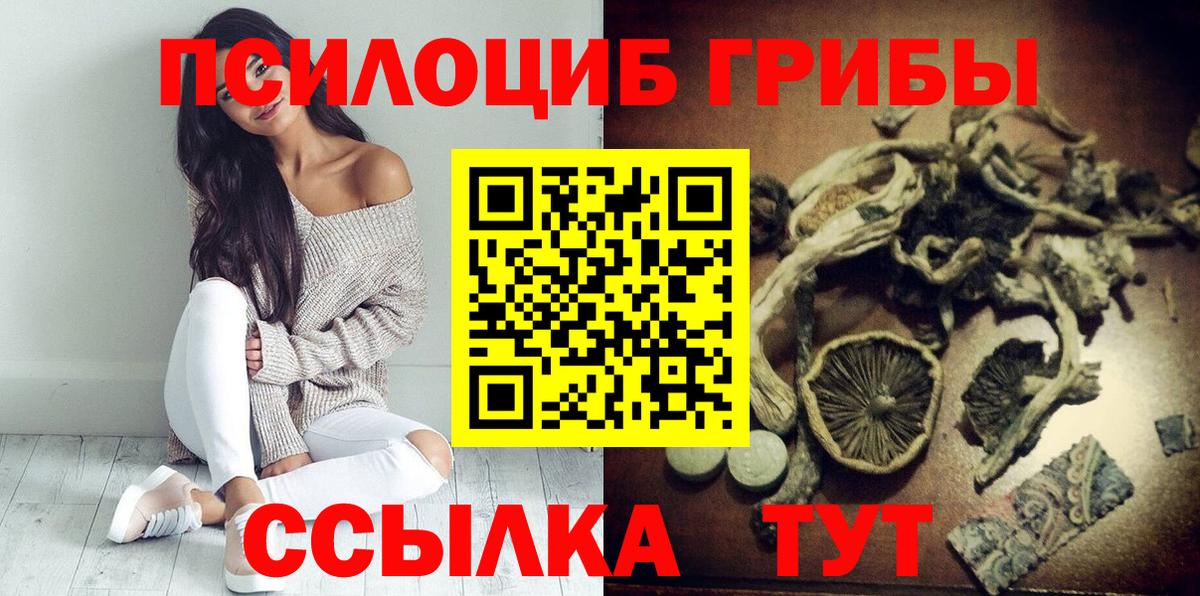 Псилоцибиновые грибы Cubensis  Галлюциногенные грибы мицелий  Кирово-Чепецк 